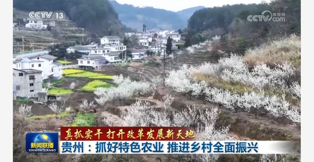真抓实干 打开改革发展新天地丨促进乡村特色产业延链增效 贵州吉林拓宽农民增收渠道_腾讯新闻