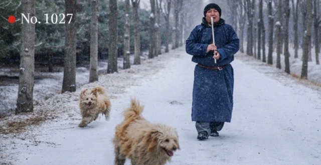 过去很长时间我都只想追寻内心的音乐，但是一个家庭里的逃兵｜胡格吉乐图 一席第1027位讲者_腾讯新闻