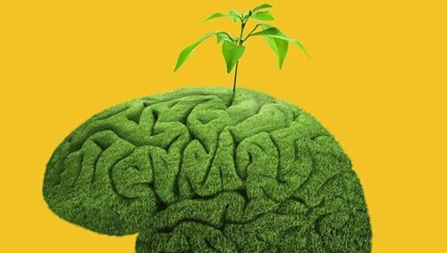 大脑一生的两大转折：32岁巅峰即拐点，66岁重构还是衰退？