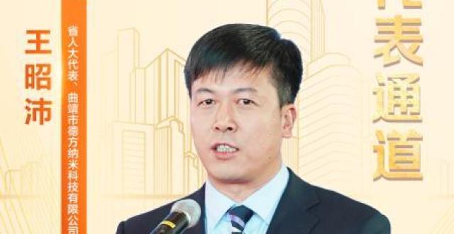 代表通道｜王昭沛：何为“新”？看“锂”世界里的发展活力_腾讯新闻