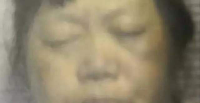 神秘人贩子“梅姨”落网？警方最新回应_腾讯新闻