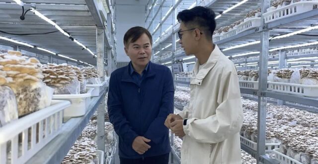 农工党南通市委会来大方县开展帮扶调研活动_腾讯新闻