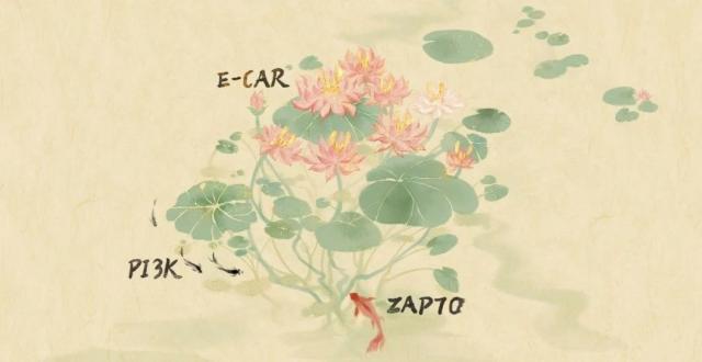 许琛琦/王皞鹏Immunity：可相分离E-CAR免疫受体的理性设计与应用 | Cell Press对话科学家_腾讯新闻