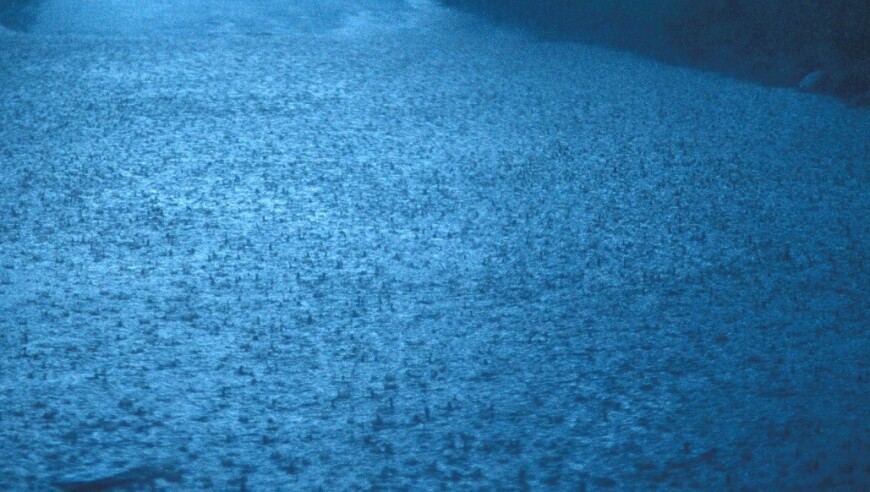 四川盐边县突发泥石流已致5人失联，村民：前一晚持续强降雨