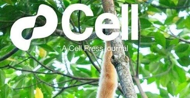 2026年首期Cell封面论文，来自中国科学院×中山大学_腾讯新闻