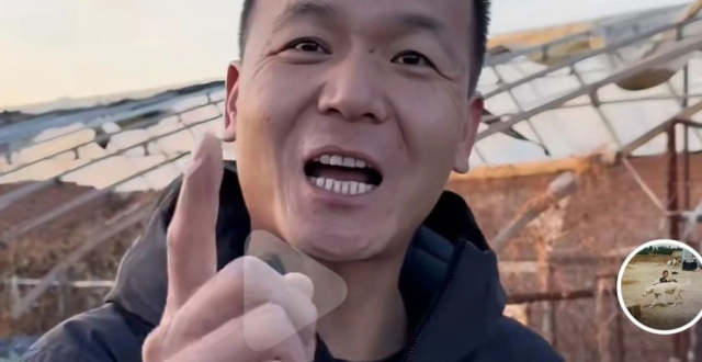 “潘宏爱玩狗”一条广告35万！训练基地被称“狗界缅北”，因频繁被举报大号停播_腾讯新闻