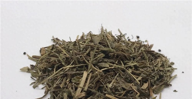 痈肿疔疮的天敌，咽喉肿痛的克星——苦地丁_腾讯新闻