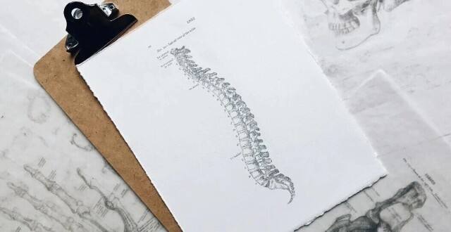 国内首个抗硬骨蛋白抗体获批，罗莫索珠单抗开启骨质疏松治疗新时代_腾讯新闻