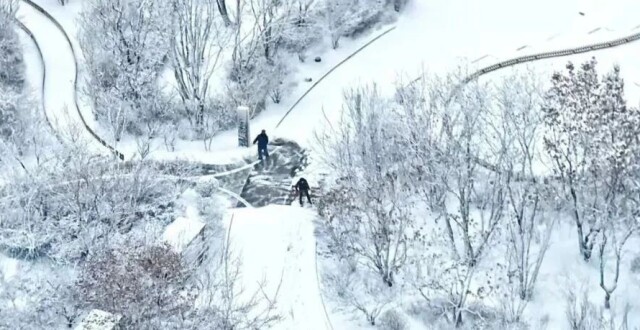 春日遇上雾凇！哈尔滨绝美树挂解锁限定版冰雪童话_腾讯新闻
