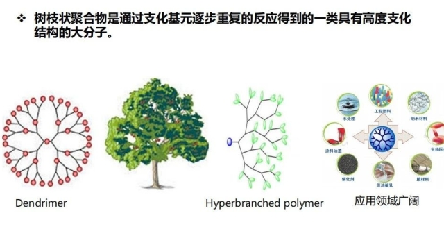 新型多功能树枝状大分子！打破欧美技术垄断，缔造国内树枝状聚合物产业化里程碑_腾讯新闻