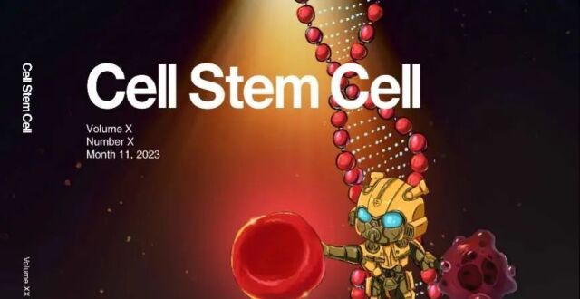 Cell Stem Cell：张楹/杨贝/陈佳/杨力团队通过变形式碱基编辑器治疗β-血红蛋白病_腾讯新闻