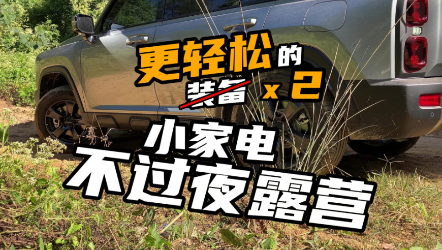 梦境解析，花蛇追车，寓意与解析