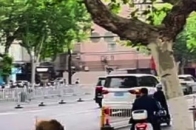这头野猪就这么豪横！先入南京大学然后再闯江苏电视台最终被抓送往动物园_腾讯新闻
