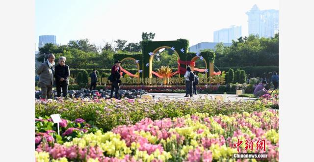 （澳门回归25周年）澳门举办“回归的旋律”主题花展 庆祝澳门回归祖国25周年_腾讯新闻