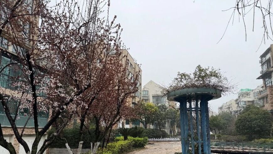 杭州一套214㎡顶跃房，有人单价8600元/㎡拿下！这是16年前的价格