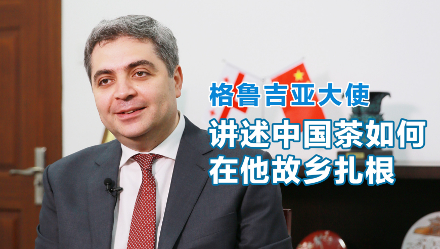 格鲁吉亚大使,讲述中国茶如何在他故乡扎根