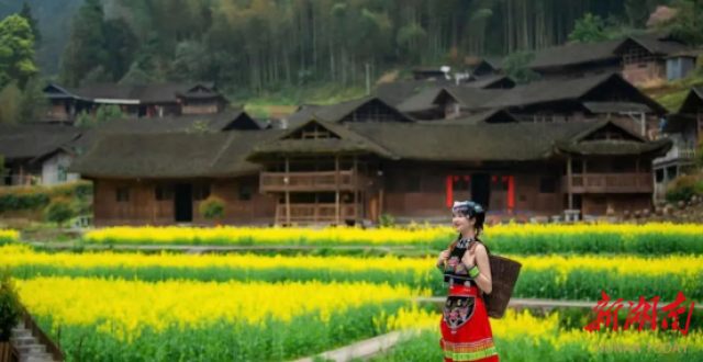 解码古寨振兴密码，湖南工业职院项目获评省级优秀典型_腾讯新闻