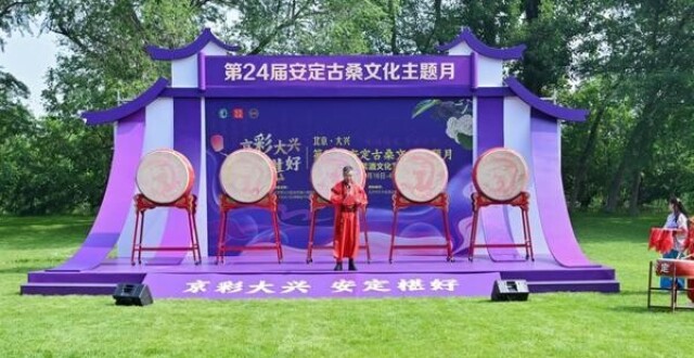 北京大兴安定镇古桑为媒 解锁乡村振兴“紫色密码”_腾讯新闻