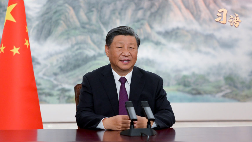 习语丨“以服务开放推动包容发展”