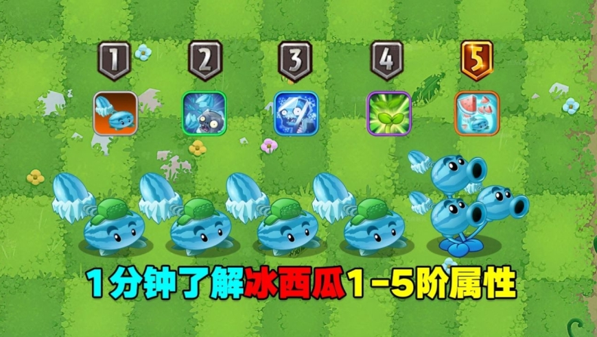 植物大战僵尸:2分钟带你了解冰西瓜投手1-5阶属性!