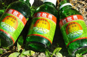 小伙帮小区消杀裤子不慎敌敌畏被下病危通知，高毒农药能否用于城市消杀？哪些农药易经皮肤侵入人体？