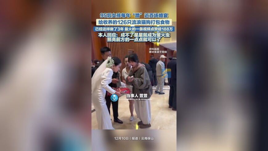 95后女孩每年“蹭”近百场婚宴，给收养的126只流浪猫狗打包食物