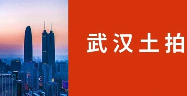 武汉5月30日土拍成交一宗住宅用地，揽金6.84亿元_腾讯新闻