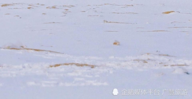 冬天去威海旅游，来威海吃什么_腾讯新闻