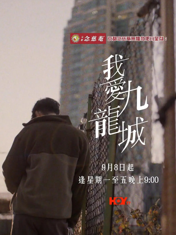我爱九龙城粤语