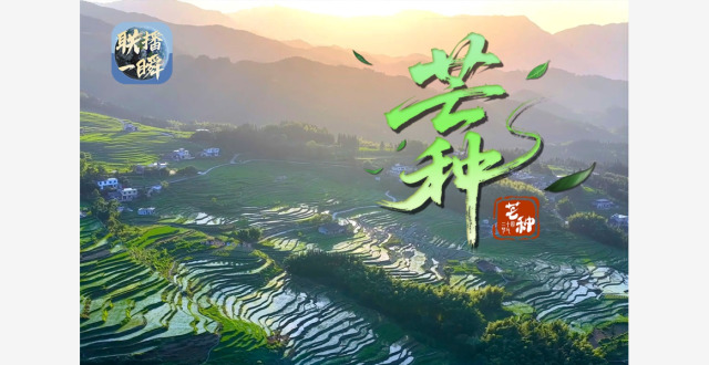 文化中国行·联播一瞬丨芒种染夏 岁岁耕耘皆可期缩略图
