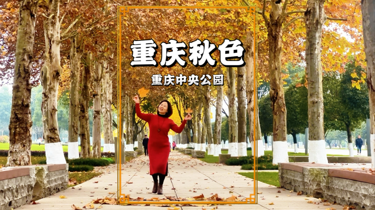 冬游重庆中央公园，五彩斑斓，美不胜收，堪称重庆秋色天花板_腾讯新闻