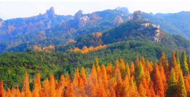 崂山门票半价！沿黄九省区的朋友快来畅游“海上仙山”！_腾讯新闻