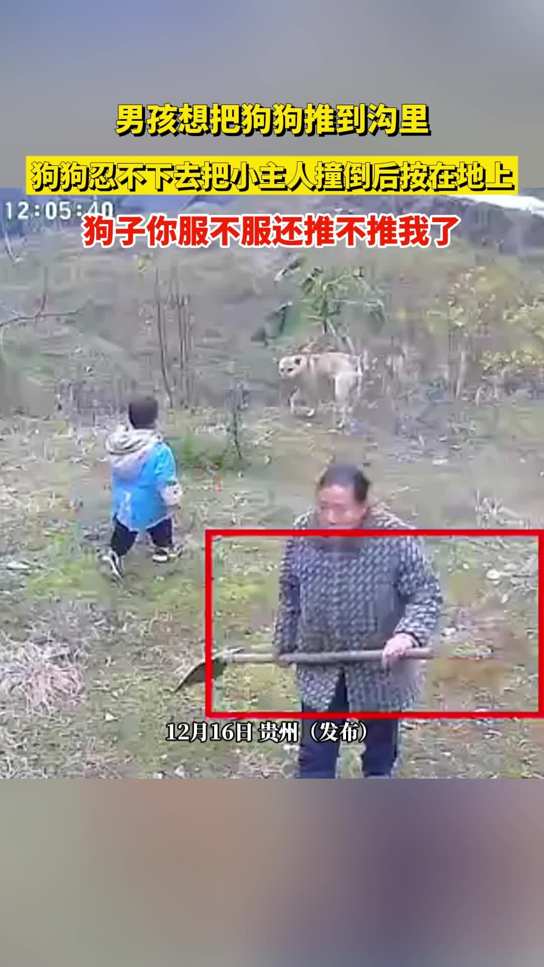 把狗狗超度-把狗狗当婴儿喂人奶