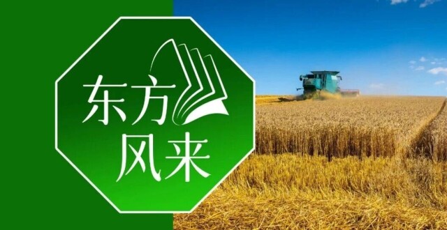 2026年，抢出来的夏粮丰收｜东方风来_腾讯新闻
