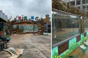 广西贵港一动物园灾前将猛兽锁死致多只溺亡，有更合适的处理方法吗？动物园如何才能挽回损失？