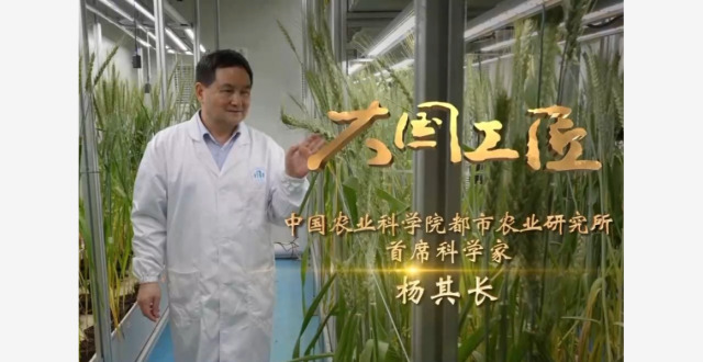 大国工匠丨“土”博士主导创建垂直植物工厂 让蔬菜年产量翻百倍_腾讯新闻