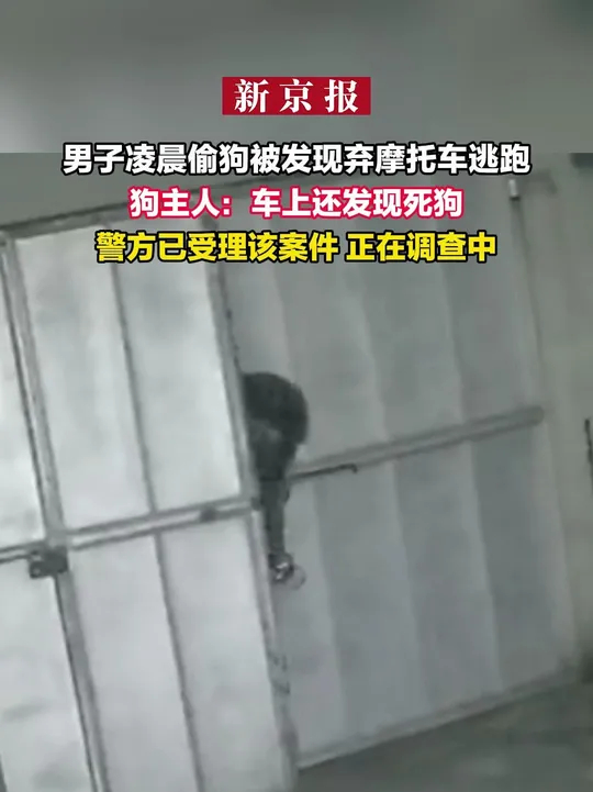 男子凌晨偷狗被发现弃摩托车逃跑 狗主人：车上还发现死狗 警方已受理该案件 正在调查中_腾讯新闻
