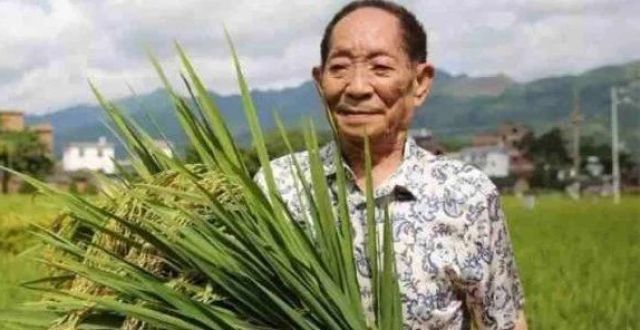 9位华人获得过沃尔夫奖，包括袁隆平_腾讯新闻