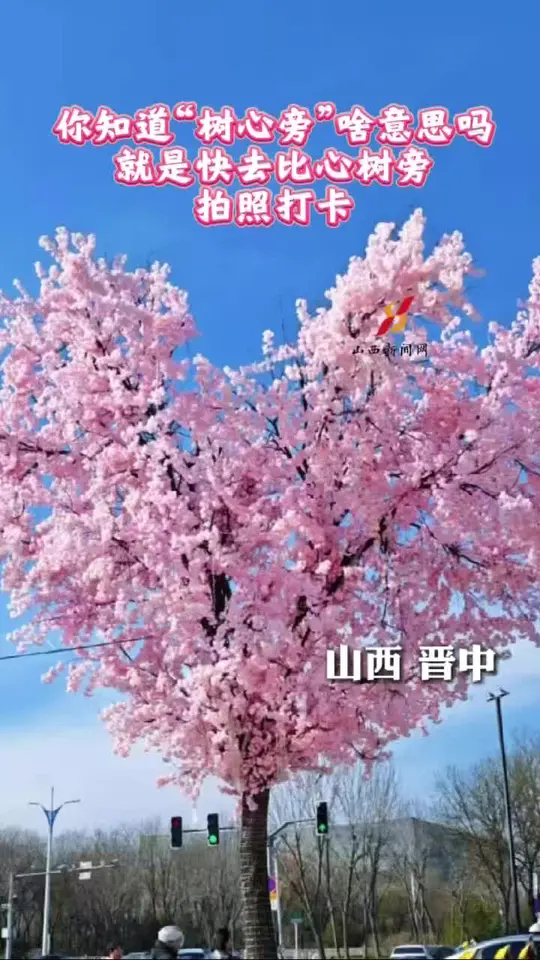 “树心旁”具象化了 快去“爱心树”旁拍照打卡_腾讯新闻