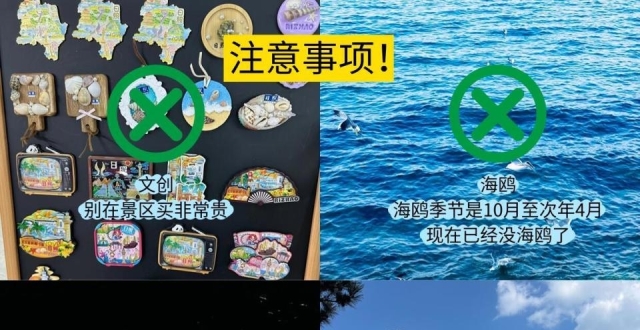 日照旅游，万平口景点攻略_腾讯新闻