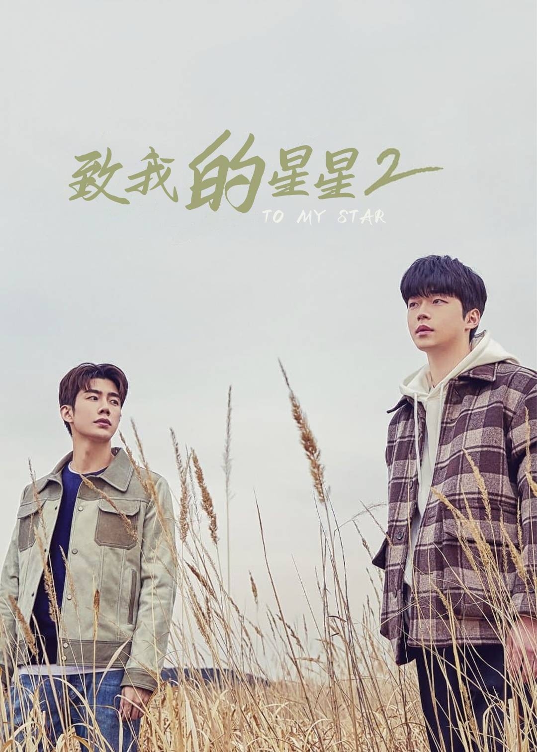 致我的星星第二季