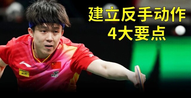横板建立反手动作的4个要点，国家队也是这么练出来的！-乒乓国球汇_腾讯新闻