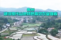 贵州遵义：播州区现代烟稻菜农业示范区，实现一年三季轮作_腾讯新闻