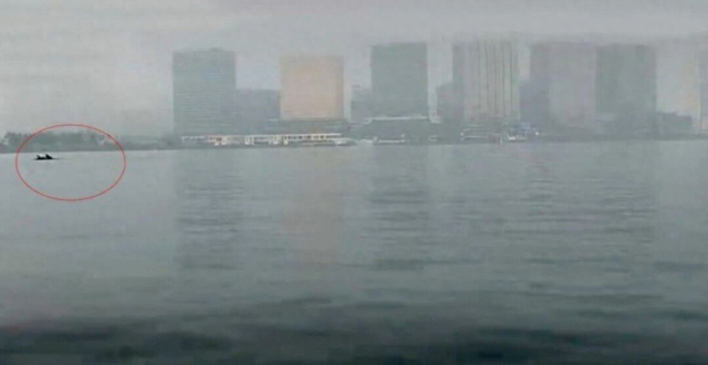 郑州北龙湖疑现多条巨型鱼类，网友推测为「水老虎」 ，这可能是什么鱼？出现在城市内湖会有哪些潜在影响？