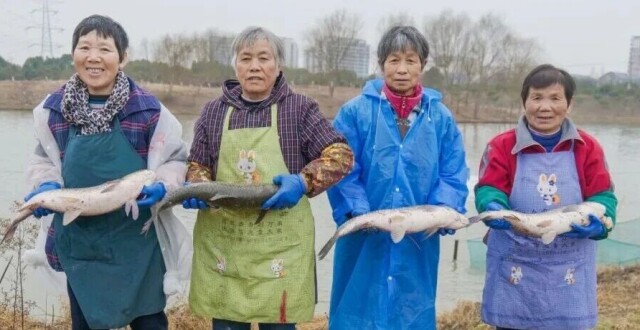 年年有“鱼”，享乐新春！村里的分鱼现场幸福满满！_腾讯新闻