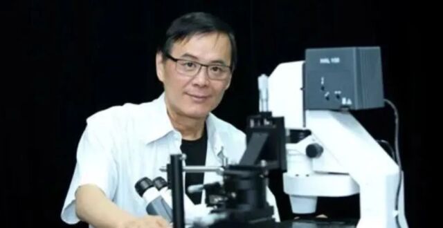 Cell：清华大学戴琼海/祁海/吴嘉敏团队开发新型双光子显微成像术，实现深层活体时空跨尺度观测_腾讯新闻