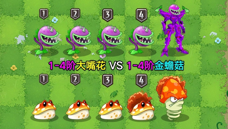 1-4阶大嘴花vs1-4阶金蟾菇!谁才是蓝卡最强吃货?
