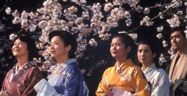 1983年“大片”《细雪》数字修复版在上影节上映_腾讯新闻