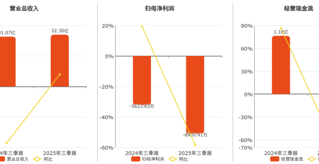 2025年三季报净利润为-8905.41万元，同比亏损放大_腾讯新闻