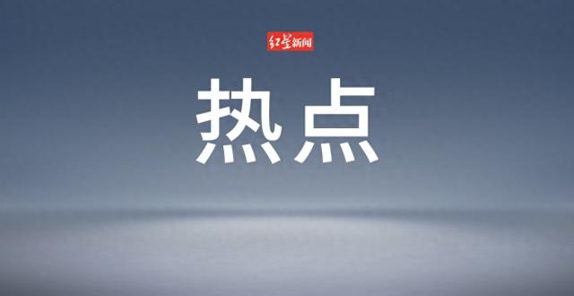 2024年十大语文差错公布缩略图